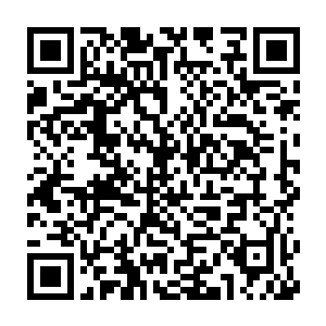 可是在这个总共体积也不过才有一百多立方米的二次元小空间的里面二维码生成