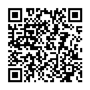 可是在这第十九层地狱当中甚至连咆哮都做不到二维码生成