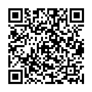 可是在这里整理出一片空地来倒是适合发射导弹了二维码生成
