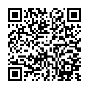 可是处于兴奋状态的踏雪无痕墨角腾云兽没有发现这一点二维码生成