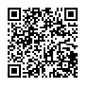 可是夏天和白衣老者之间的战斗只打了不到几分钟二维码生成