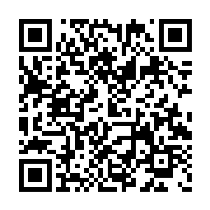 可是夏天说的这个古族之叶就彻底的让她懵圈了二维码生成