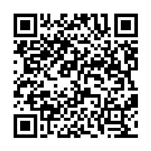 可是夏天这个蛇胆的个头比他三个拳头加起来还要大二维码生成