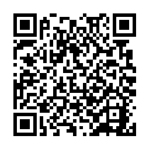 可是大人却毫无藏私的授予了自己一个卖瓜的方法二维码生成