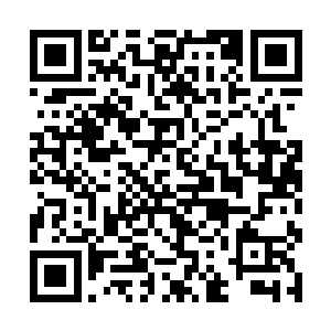 可是天魔墓地的魔灵们几乎已经全部通过通道出去了二维码生成