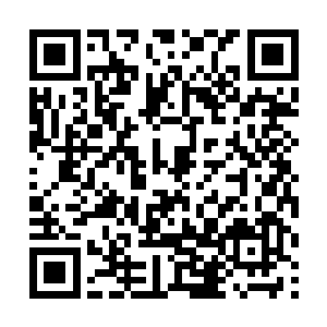 可是女国王一下子伸出手在企鹅的脑袋上摩擦了一下二维码生成