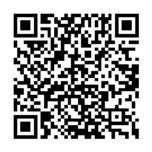 可是她不知道怎么把成人的世界告诉这个小姑娘二维码生成