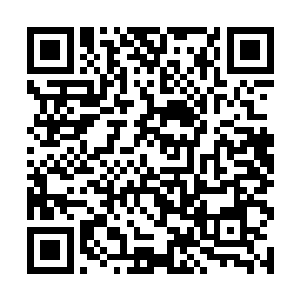 可是她之前找洪大力也只是希望能够挫挫厉家的气势二维码生成