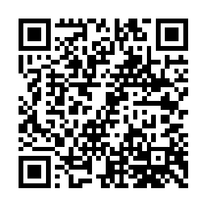 可是她却将自己的苦命报复给了自己所有的亲人二维码生成