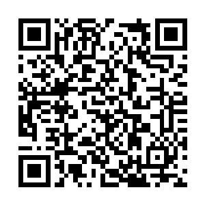 可是她在部队经过半个月的观摩学习才整理出来的二维码生成