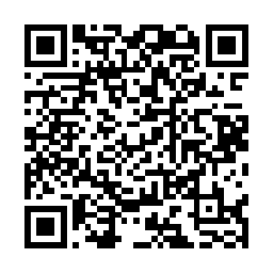 可是她的力气又怎么可能跟5级巅峰的叶欢相提并论呢二维码生成