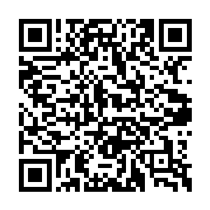 可是她的经脉因为在苍茫山脉中的灵泉之中重组二维码生成