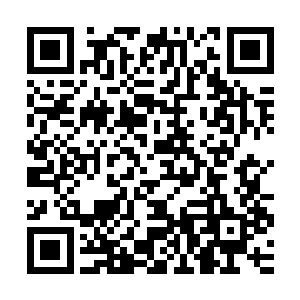 可是它的动作明显慢了一拍――若是没有那一刻辨别方向的停顿二维码生成