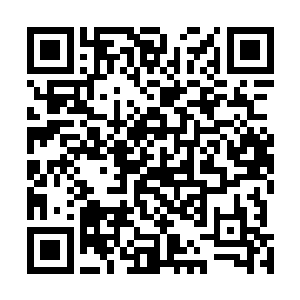 可是对于人类来说面临他们的袭击却不是那么容易度过的二维码生成
