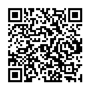 可是对于忠诚于毛里克斯拉尼自由国和我本人的人二维码生成