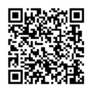 可是对于龙傲天还有小金来说这都不是什么太大的问题二维码生成