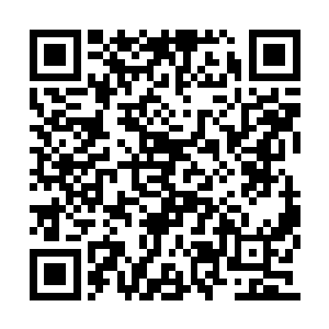 可是对方传来的气息却让它感到异常熟悉和亲密二维码生成