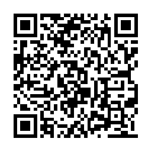 可是将家直到现在还杀不了我――所以我很厉害二维码生成