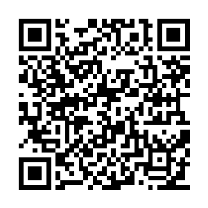 可是就在安东赛尔刚刚完成了他人生的一大目标二维码生成