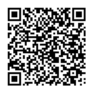 可是就在这个时候欢喜哥却忽然想到了自己拥有一样别人无法拥有的东西二维码生成