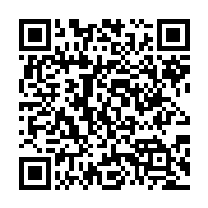 可是就在这时他突然感觉有上百脚踢在了自己的胳膊上一样二维码生成