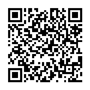 可是就这短短的一瞬间的时间这些精锐全都变成了废人二维码生成