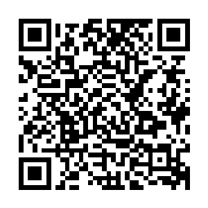 可是当一个人一百年一千年都吃一样东西……光是想想就有些腻二维码生成