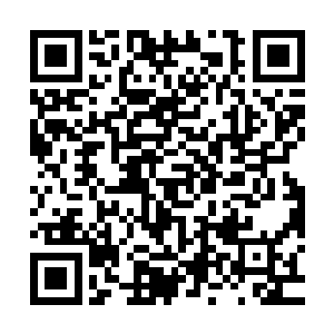 可是当冷天佑再一次张开眼睛的时候却惊讶的发现自己好像没死二维码生成