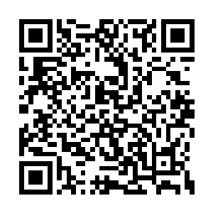 可是当初她离开NPC地点的时候与对方签订过契约二维码生成