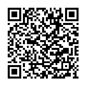 可是当吴虎臣的轮回之印进入到佘老的身体之后二维码生成