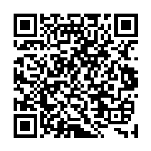 可是当得知打伤沈剑和剑尘两人的天神竟然是陆家老祖时二维码生成