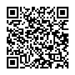 可是当林烽继续命令着肖雨龙和肖卓两兄弟也分别安全的进去了二维码生成