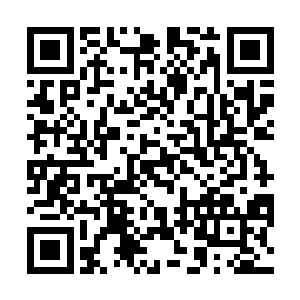 可是当这两辆代表权利和实力的黑色奥迪车出现的时候二维码生成