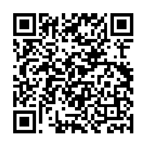 可是彻底的将我们拨金鼠部落的修为提高了一个层次二维码生成