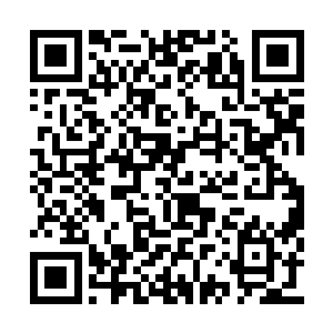 可是很快他就想起已经服用过了木萦炼制的丹药二维码生成