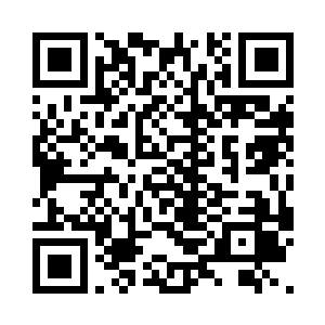 可是恨我的也只是这些麻木不仁的贵族二维码生成