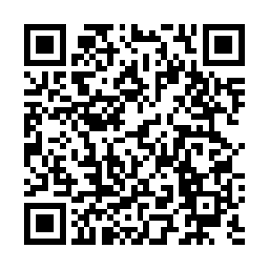 可是想到自己当时作为交换的丹药本来是要换上品法器的二维码生成