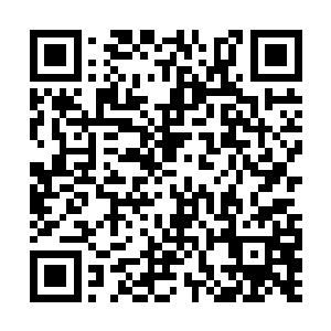 可是想着先前对方的法术竟然将自己的能量罩震碎二维码生成