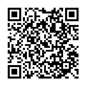 可是感受到叶莫那浑身上下散发出来的气势之时二维码生成
