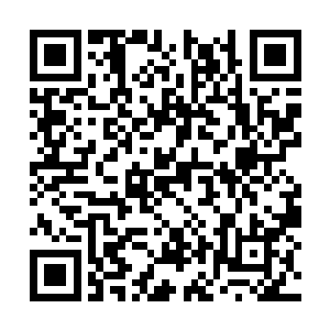 可是我不能眼睁睁的看着自己的兄弟被人给打残了二维码生成