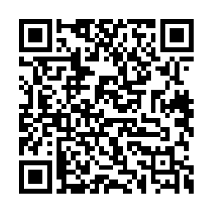 可是我们也不能任由炼骨族在我们东大陆猖狂吧二维码生成