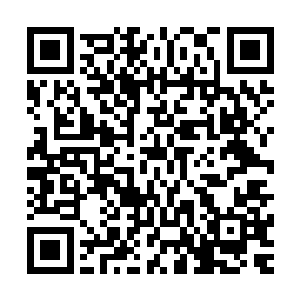 可是我们也不能眼睁睁的看着附近的平民因为这个丧失生命啊二维码生成