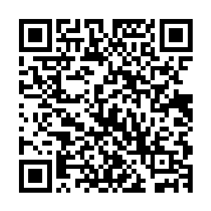 可是我却疯不了……你不知道我那一阵子有多想念那个小混蛋二维码生成