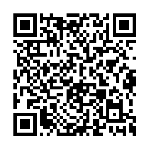 可是我正气峰的浩然正气也需要极高的天赋精力二维码生成