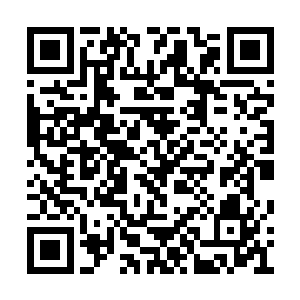 可是我的神光仙龙转是只传给我门神国一家的人二维码生成