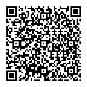 可是我真的不知道这东西会不会有副作用……因为你只是普通人……不是觉醒者或者玩家……二维码生成