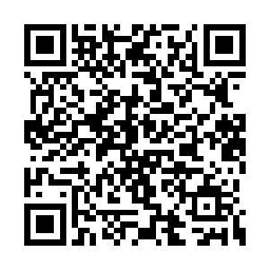 可是我确实没有派王百户邀请公公您和黄大人啊二维码生成