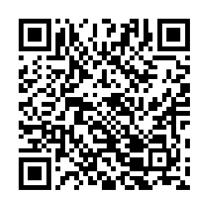 可是我虽然不知道师尊为什么要让你师徒二人进幽冥世界二维码生成