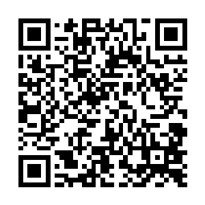 可是我记忆里根本没有认识过一个这样的金丹期女修啊二维码生成