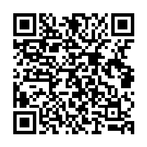 可是断魂山和玄骨族拼上血本去红荒秘境中一搏获得的全部宝物二维码生成